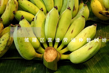 城厢区靠谱劳动仲裁纠纷律师 城厢区靠谱劳动仲裁纠纷律师