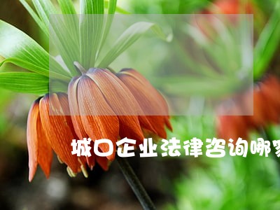 城口企业法律咨询哪家好 城口企业法律咨询哪家好