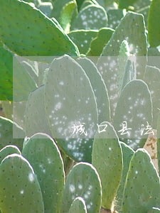 城口县法律文书代写法律咨询热线 城口县法律文书代写法律咨询热线