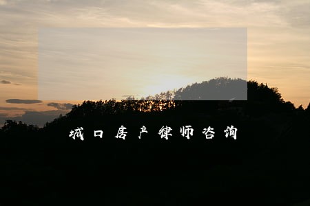 城口房产律师咨询