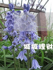城城理财回款逾期 城城理财回款逾期
