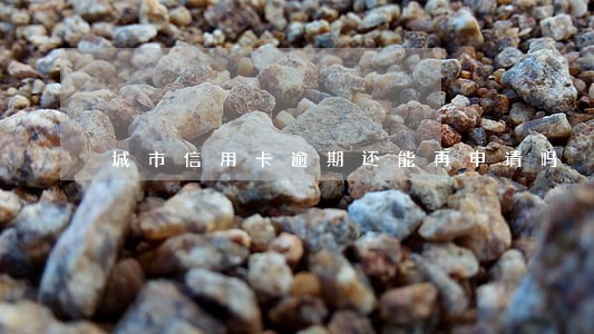 城市信用卡逾期还能再申请吗 城市信用卡逾期还能再申请吗