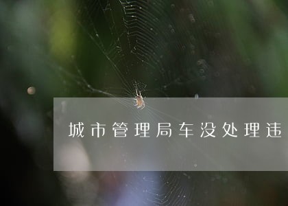 城市管理局车没处理违法停车吗 城市管理局车没处理违法停车吗