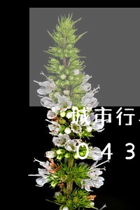 城市行车道上倒车是否违法/2023020435287 城市行车道上倒车是否违法/2023020435287