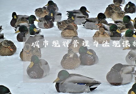 城市规划管理与法规课程总结 城市规划管理与法规课程总结