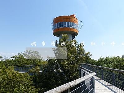城市违法建设拒不停工如何处理