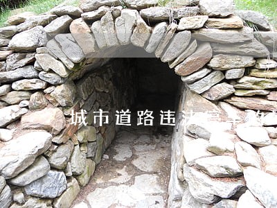 城市道路违法停车的处罚 城市道路违法停车的处罚