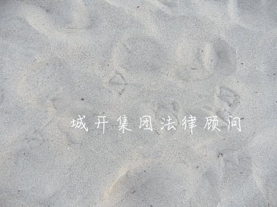 城开集团法律顾问 城开集团法律顾问