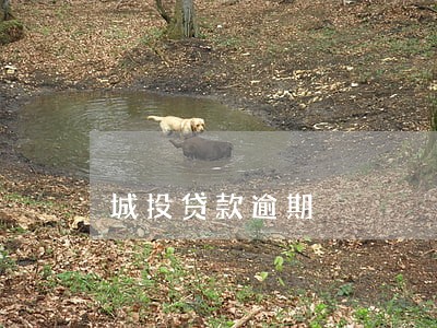 城投贷款逾期 城投贷款逾期