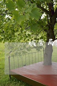 城管局违法建设整治行动工作总结