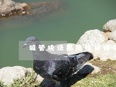 城管执法局依法拆除2宗违法建筑