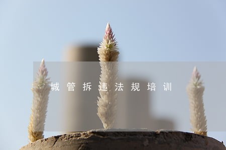 城管拆违法规培训