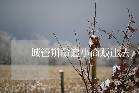 城管拼命追小商贩违法 城管拼命追小商贩违法