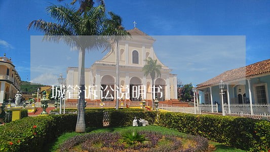 城管诉讼说明书 城管诉讼说明书