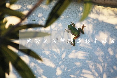 城管违法拆除通勤车站案 城管违法拆除通勤车站案