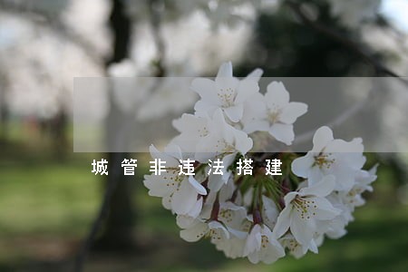 城管非违法搭建 城管非违法搭建