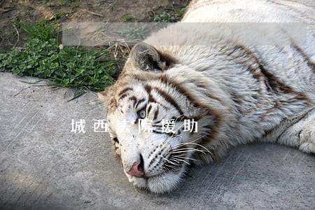 城西法院援助 城西法院援助