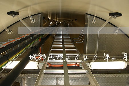 城郊法院2020年2月9日 城郊法院2020年2月9日