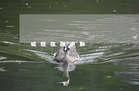 城铁在融逾期 城铁在融逾期