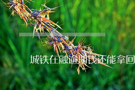 城铁在融逾期钱还能拿回来吗