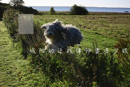 城阳动迁找律师要多少钱 城阳动迁找律师要多少钱