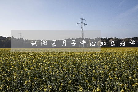 城阳区月子中心加盟起诉法律法规 城阳区月子中心加盟起诉法律法规