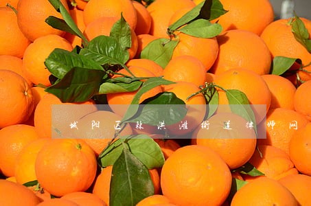 城阳区棘洪滩街道律师网 城阳区棘洪滩街道律师网