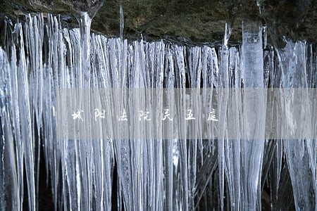 城阳法院民五庭 城阳法院民五庭