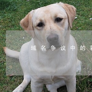域名争议中的若干法律问题探析 域名争议中的若干法律问题探析