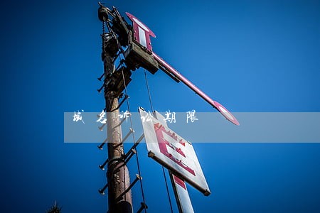 域名诉讼期限