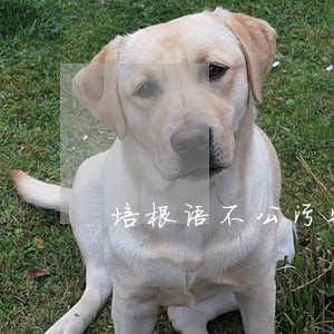 培根语不公污染水源 培根语不公污染水源
