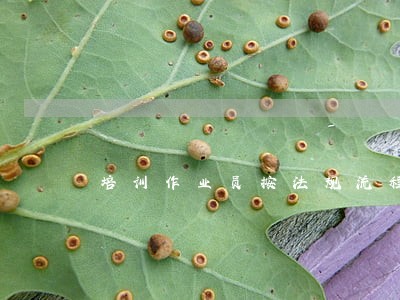 培训作业员按法规流程做事