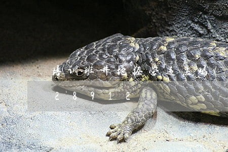 培训班异地经营违法吗/2023020728912 培训班异地经营违法吗/2023020728912