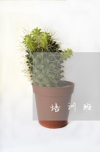培训班的法律顾问方案 培训班的法律顾问方案