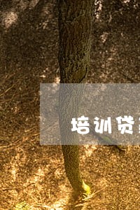 培训贷款逾期被起诉 培训贷款逾期被起诉