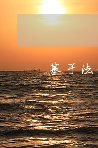基于法律原则和规则 基于法律原则和规则
