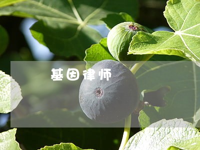 基因律师 基因律师