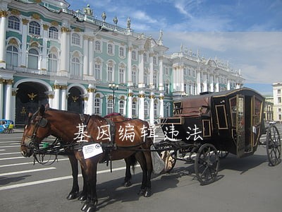 基因编辑违法 基因编辑违法