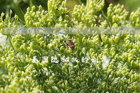 基因隐私权的创设