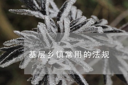 基层乡镇常用的法规 基层乡镇常用的法规