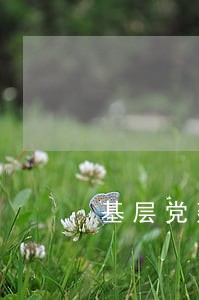 基层党建纪实 基层党建纪实