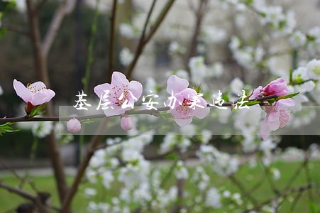 基层公安办案违法 基层公安办案违法