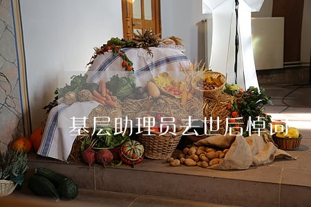 基层助理员去世后悼词