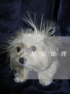 基层助理员待遇问题 基层助理员待遇问题