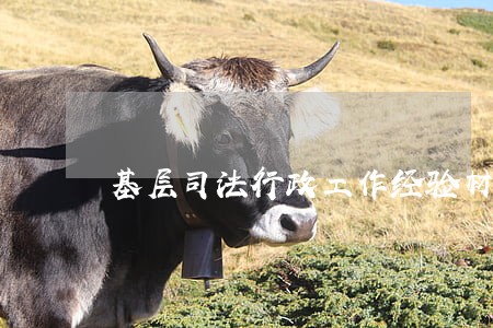 基层司法行政工作经验材料 基层司法行政工作经验材料