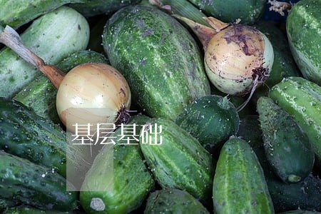 基层基础 基层基础