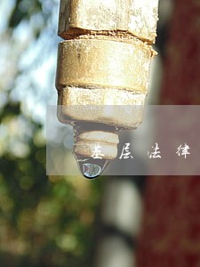 基层法律事务全文 基层法律事务全文