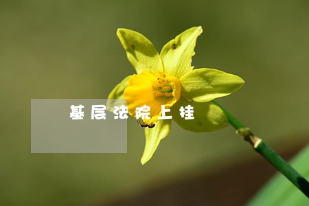 基层法院上挂