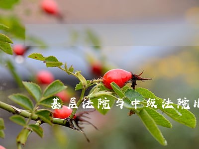 基层法院与中级法院比较 基层法院与中级法院比较