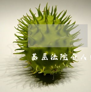 基层法院个人结对扶贫总结 基层法院个人结对扶贫总结